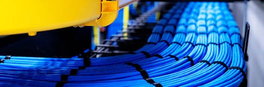 Blue network cable in Data Center