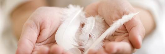 Feather and down in a woman’s hand