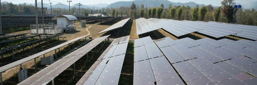 solar panels on a solar energy farm