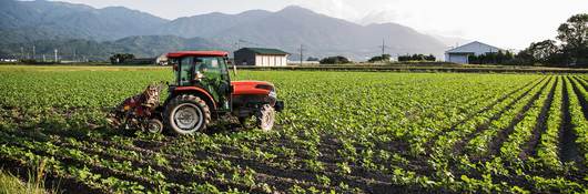 Farmer driving a red tractor through a field of soybean plants with mountains in the background.