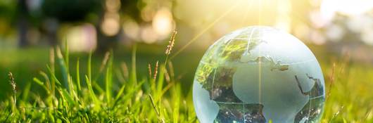 Crystal globe on green grass.