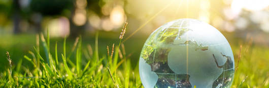 A glass globe placed in lush grass