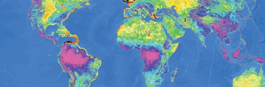 A world wind speed map