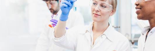 Scientists working in the laboratory.