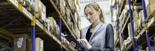 Person checking inventory in a warehouse