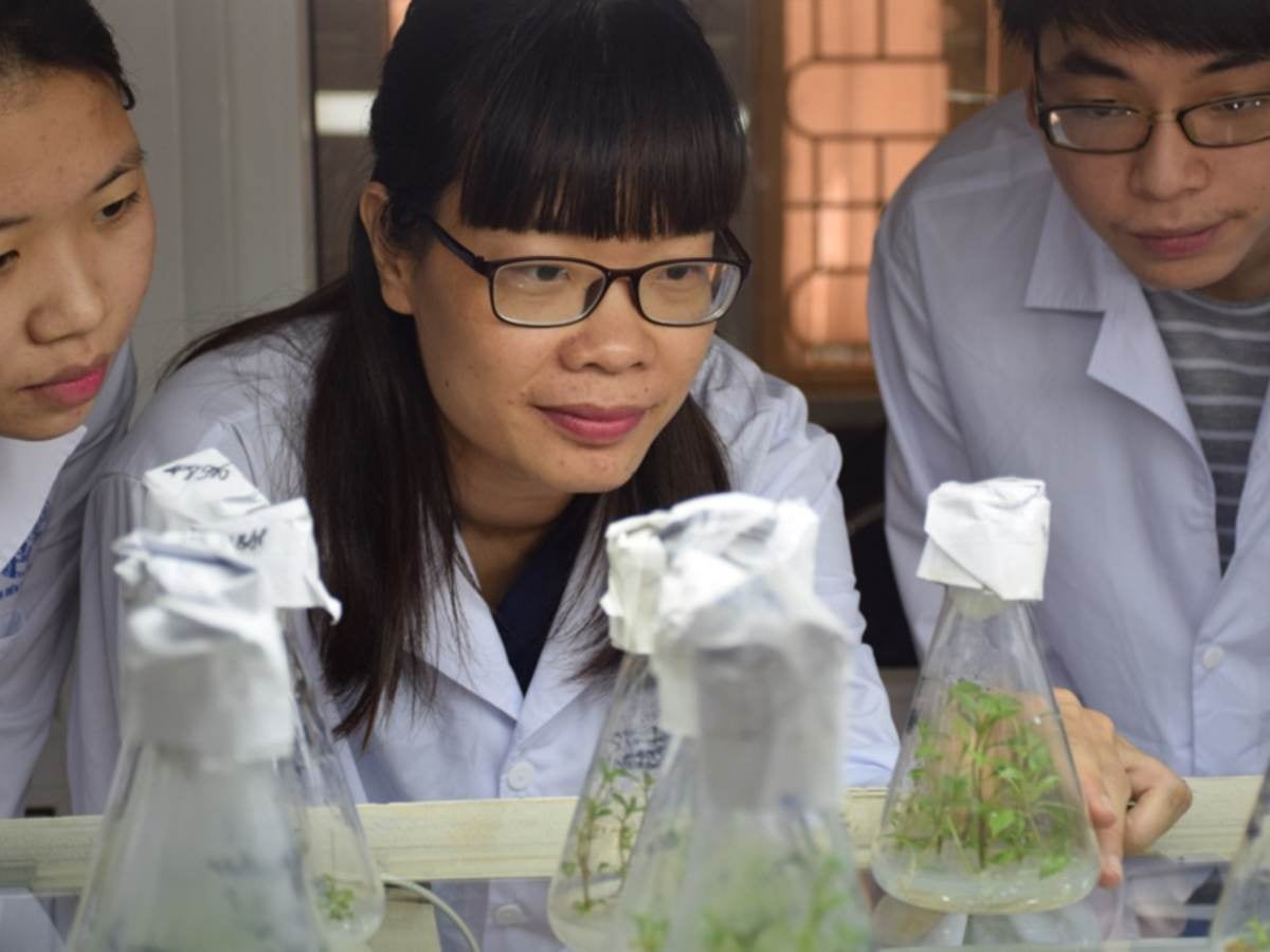 ASEAN-U.S. Science Prize scientists peer at plants being grown in glass cylinders, Dr. Vanessa Teo is the ASEAN-U.S. Science Prize for Women finalist from Brunei Darussalam, Dr. Vanessa Teo
