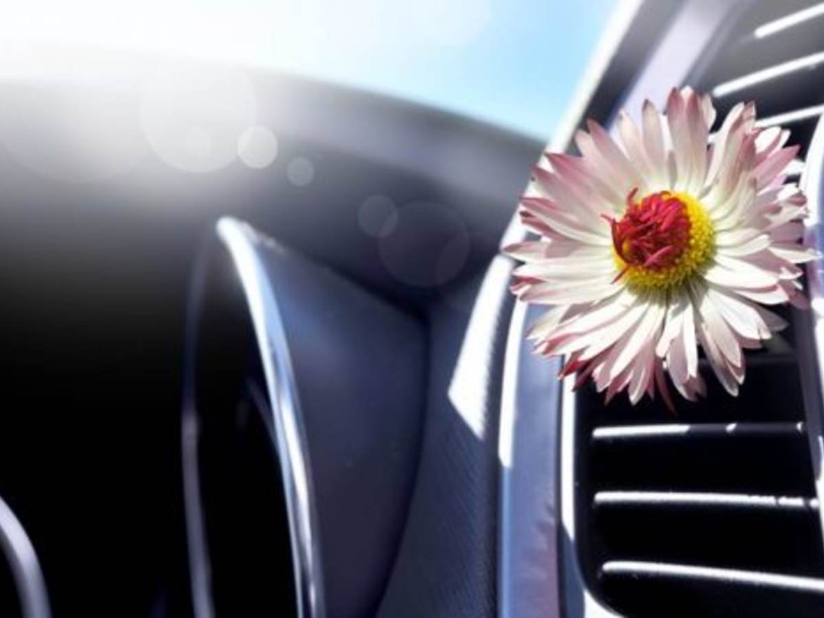 How Indoor Air Quality And The New Car Smell Are Related Ul