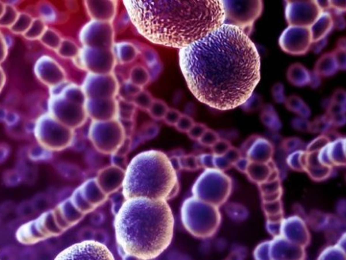 Infection Control