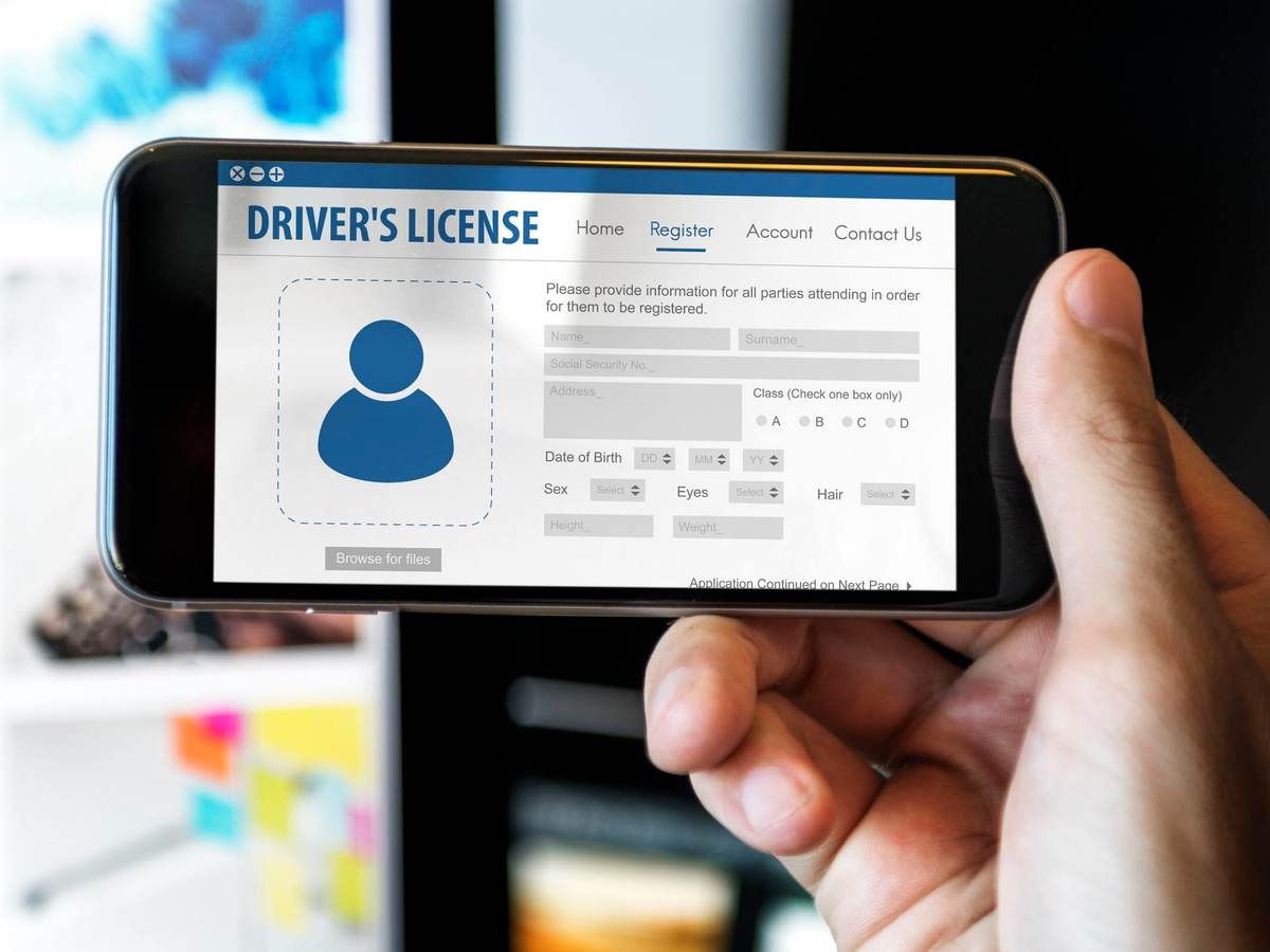 Digital driver's license card identification data information concept