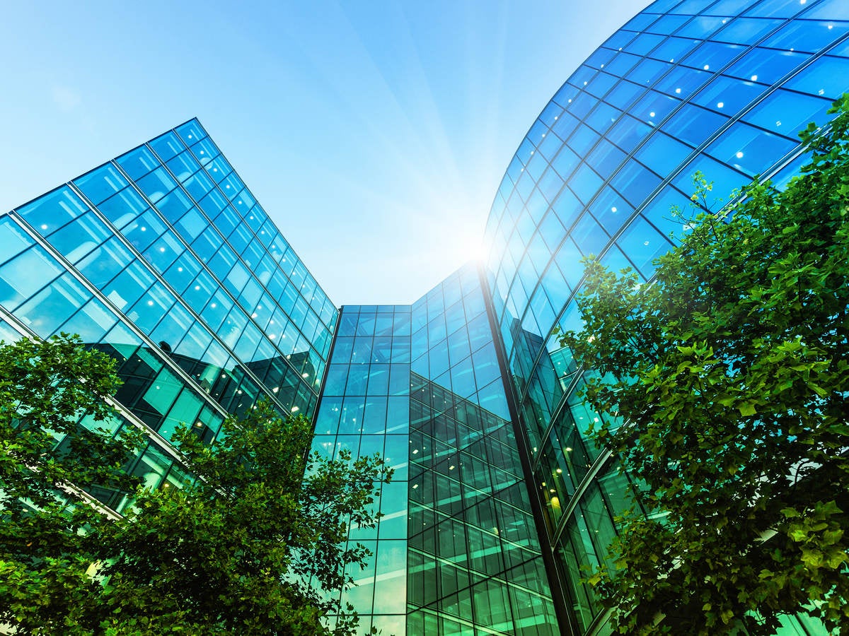 Modern skyscrapers and lush trees