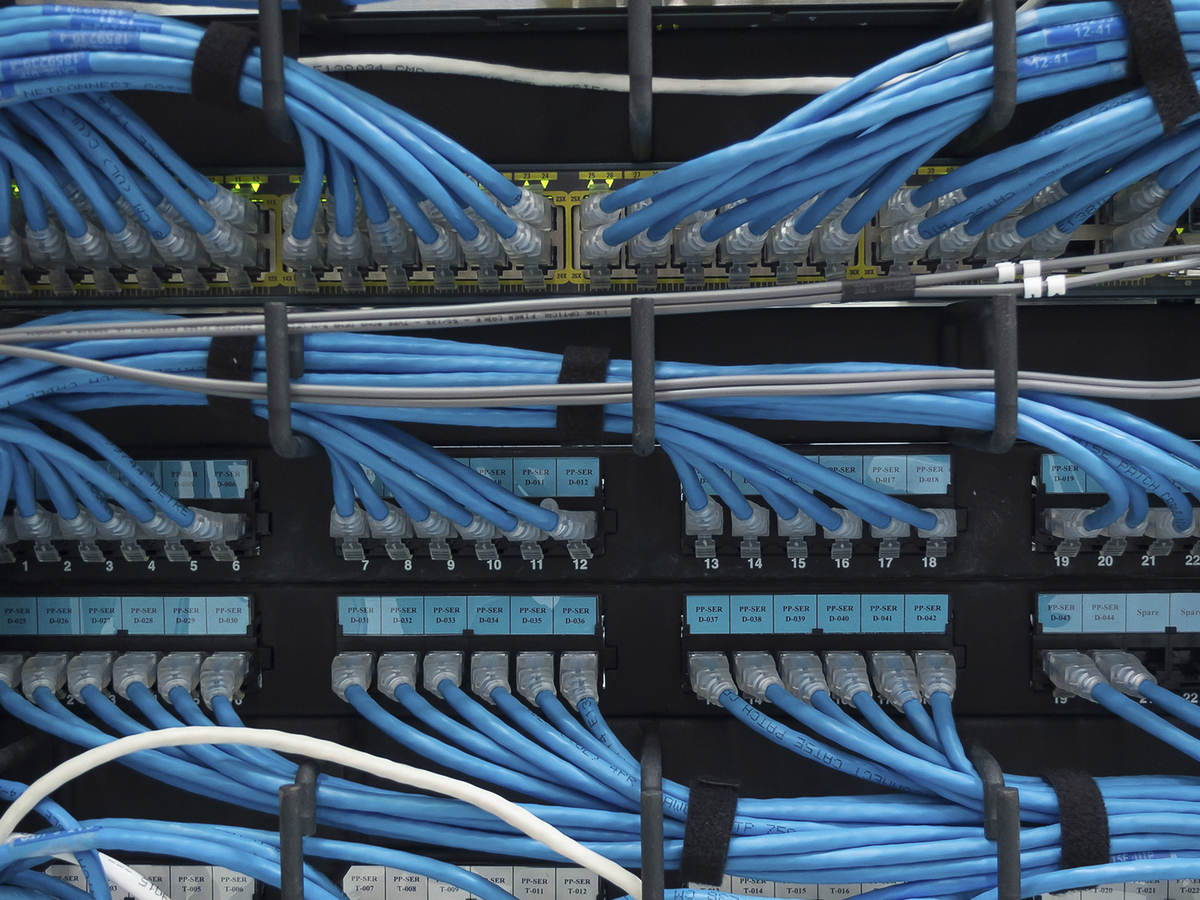 A close-up image of blue ethernet cable plugged into a data center. 