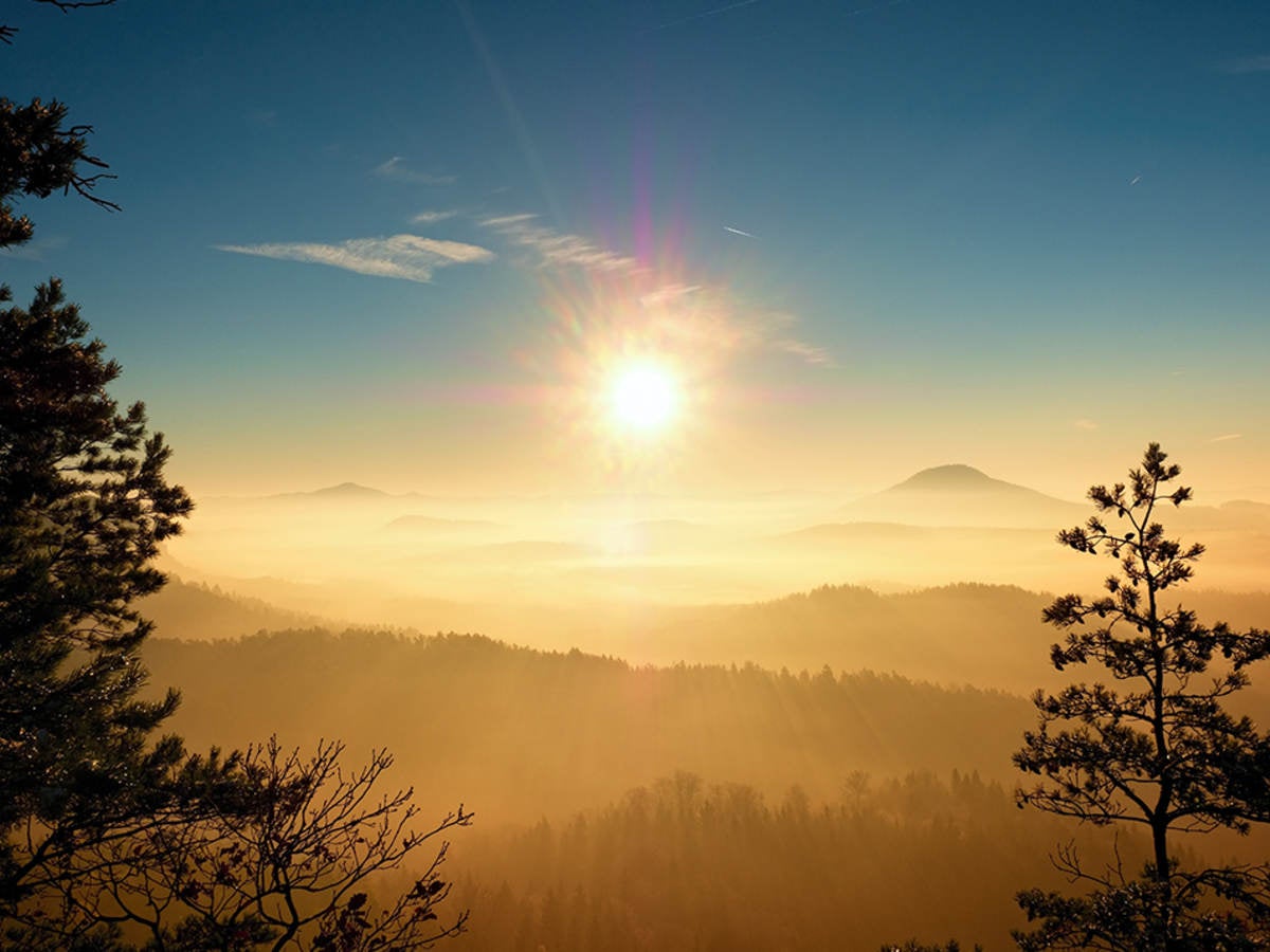 A sunset with trees