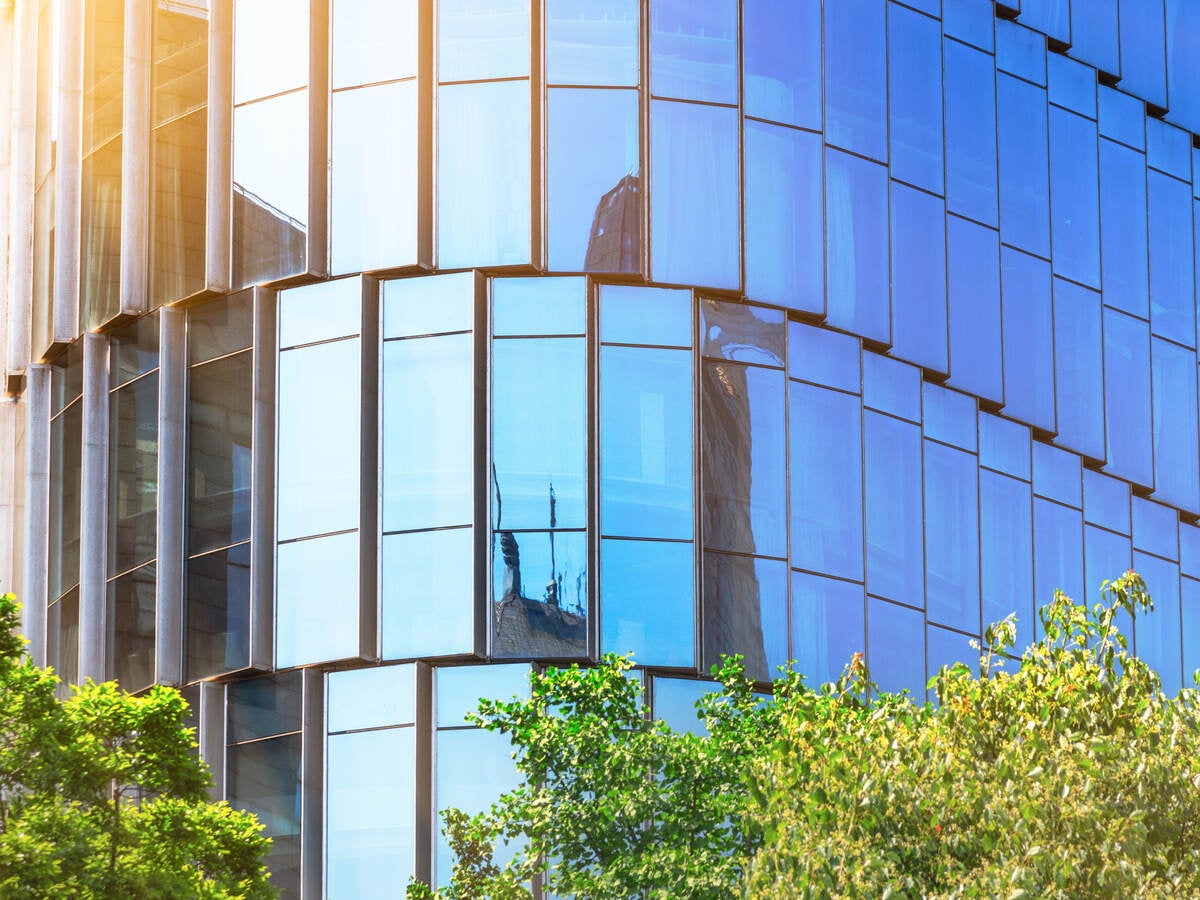 modern office building with green leaves on foreground