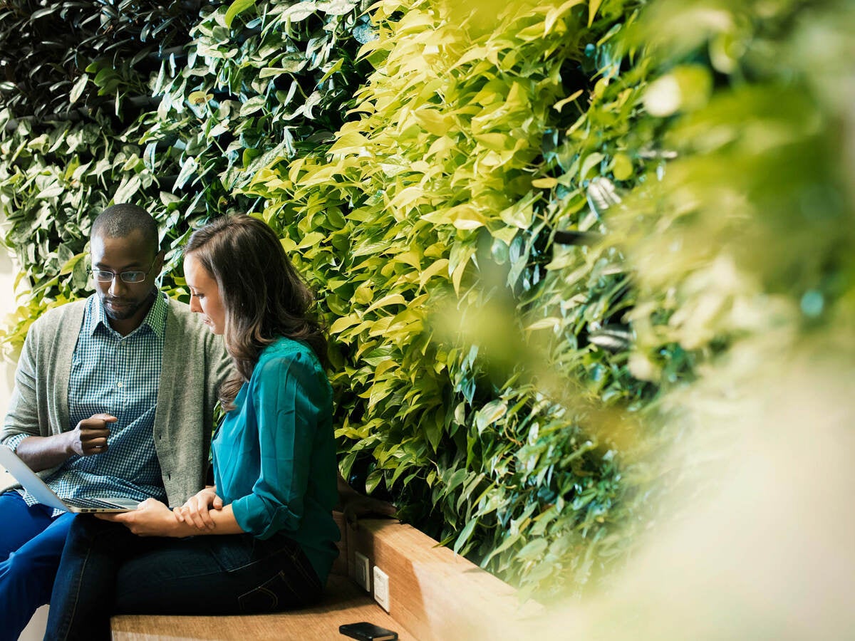 Businessman and woman sitting in front of green plant wall, using laptop