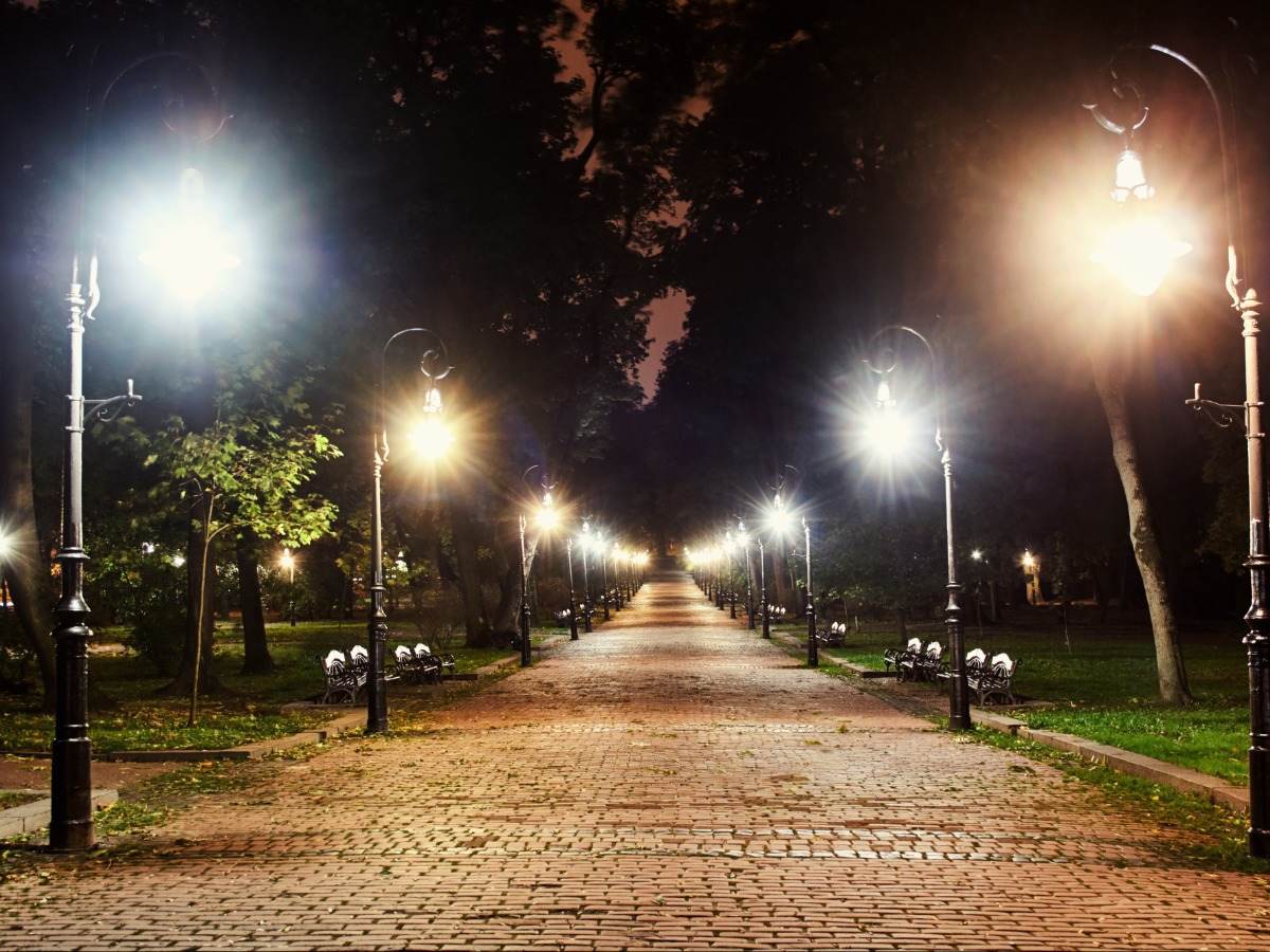 Park pathway lit up at night