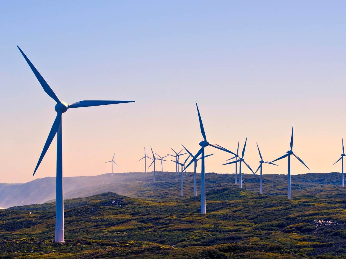 Wind turbines on a wind farm