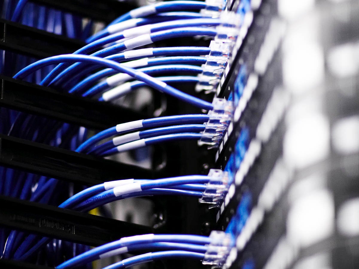 Close up image of cables connected to a server