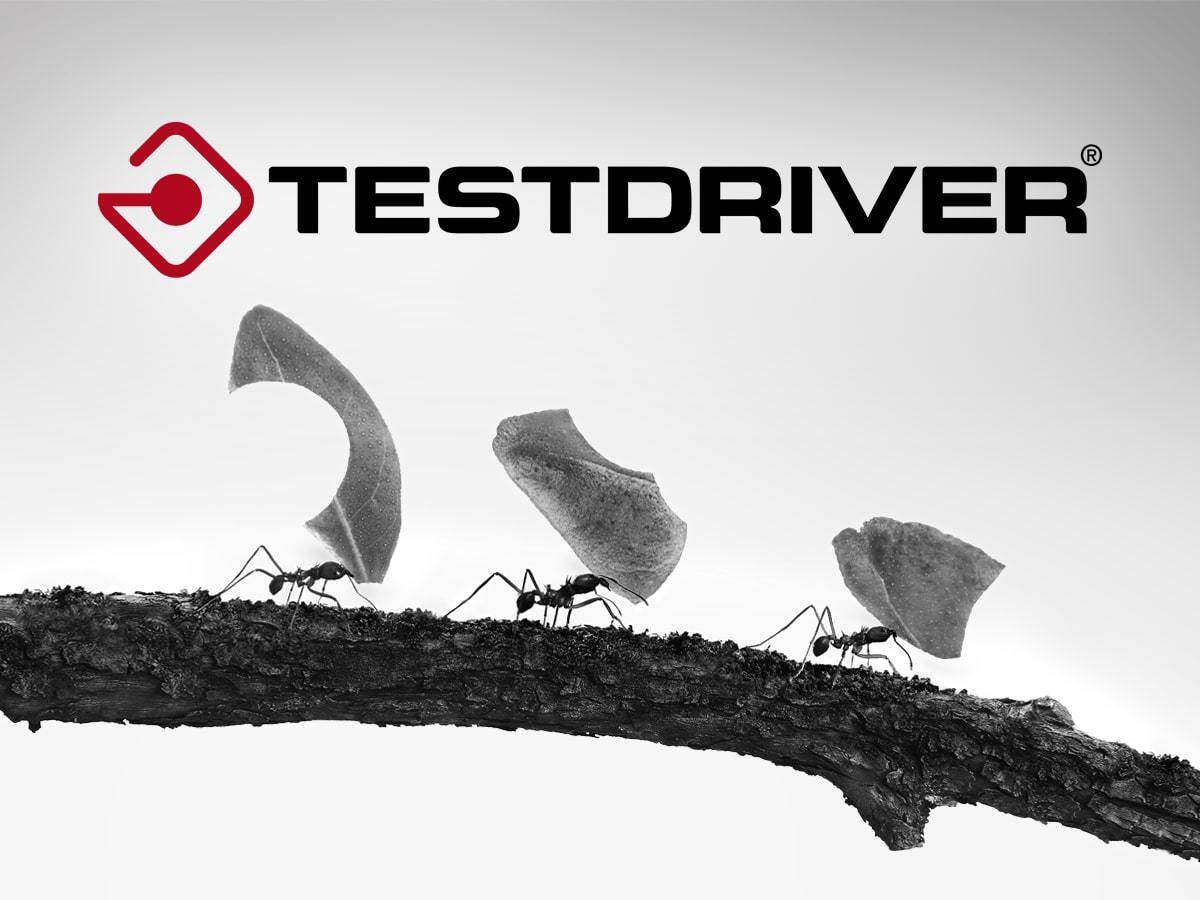 Testdriver image