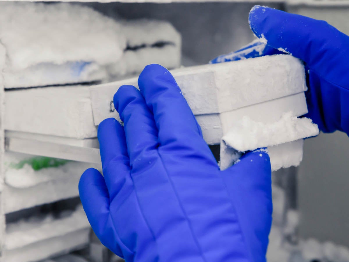 Gloved hands removing a white box from frost-covered medical freezer.