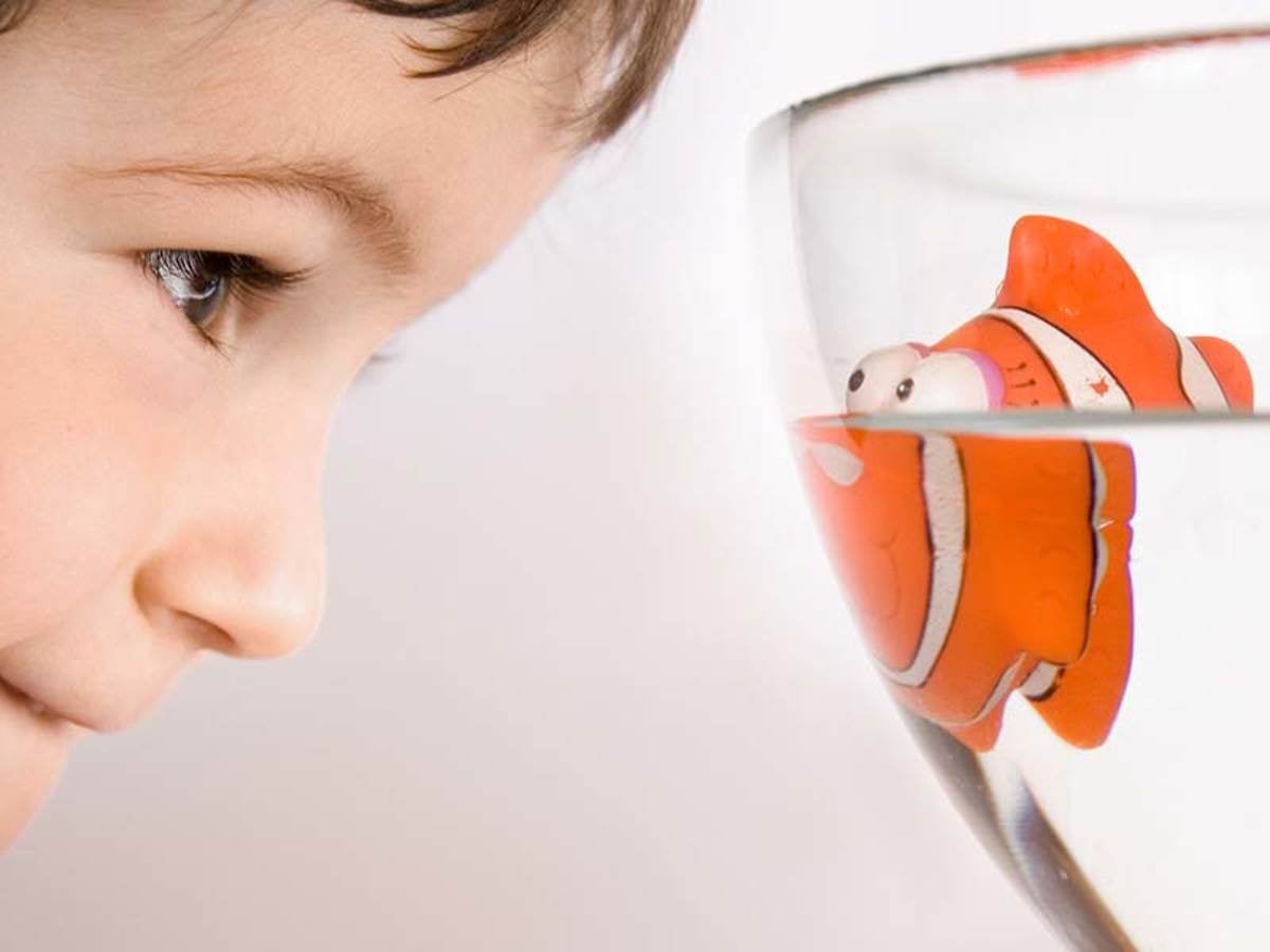 Key Learnings from 2019 EU Recalls: CHOKING HAZARD — EXPANDABLE TOYS