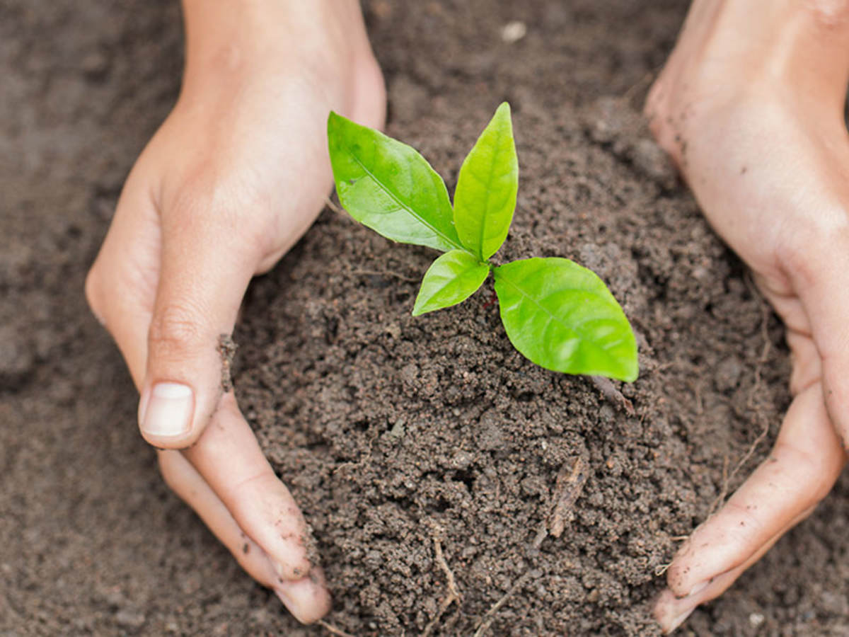 How Do Textile and Leather Companies Measure Their Environmental Impacts?