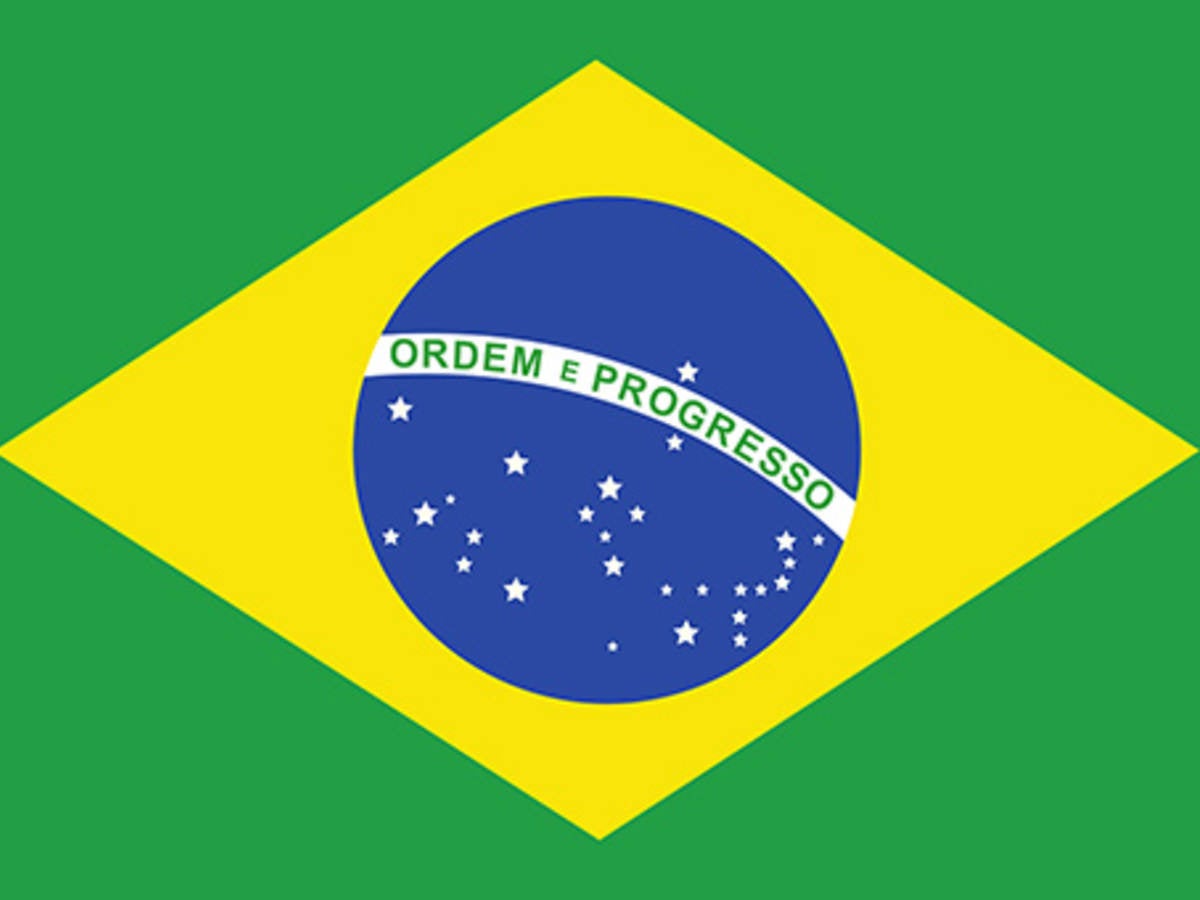 Brazilian flag 