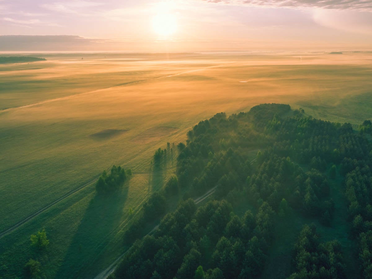 Sunset on open field