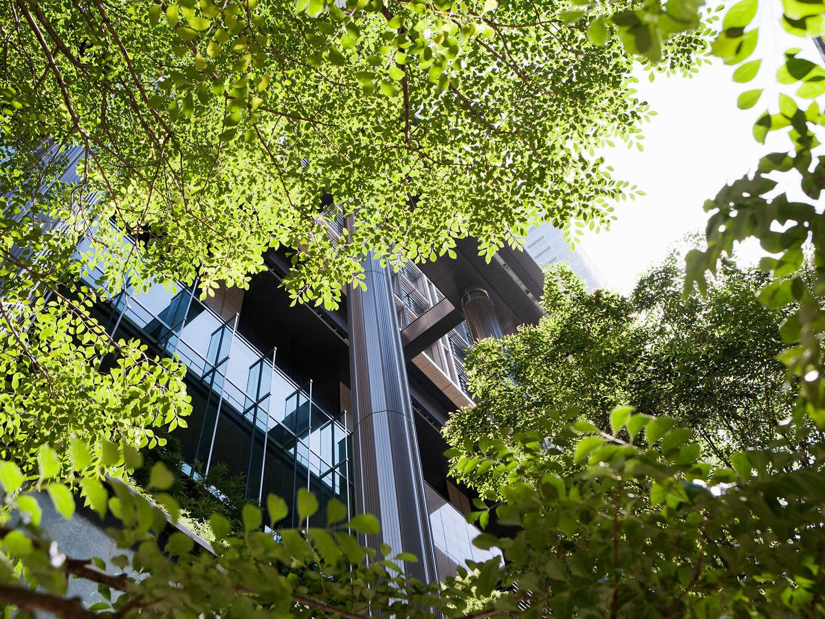 A view of the office building through green trees in front