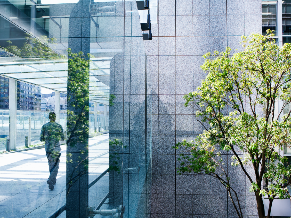 Silhouettes of a green tree and a business man walking on a passage through glass