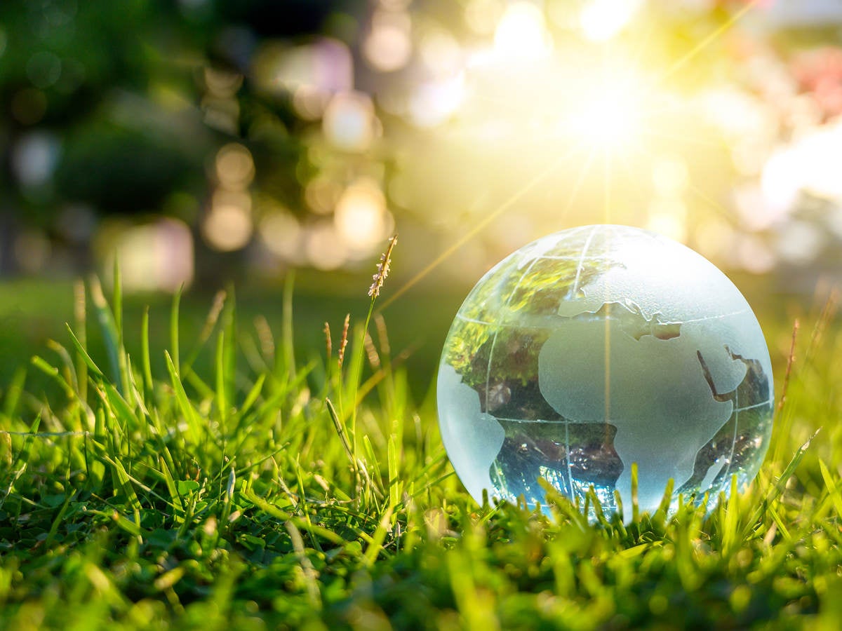 Concept Save the world save environment. A globe in grass with a blurred background