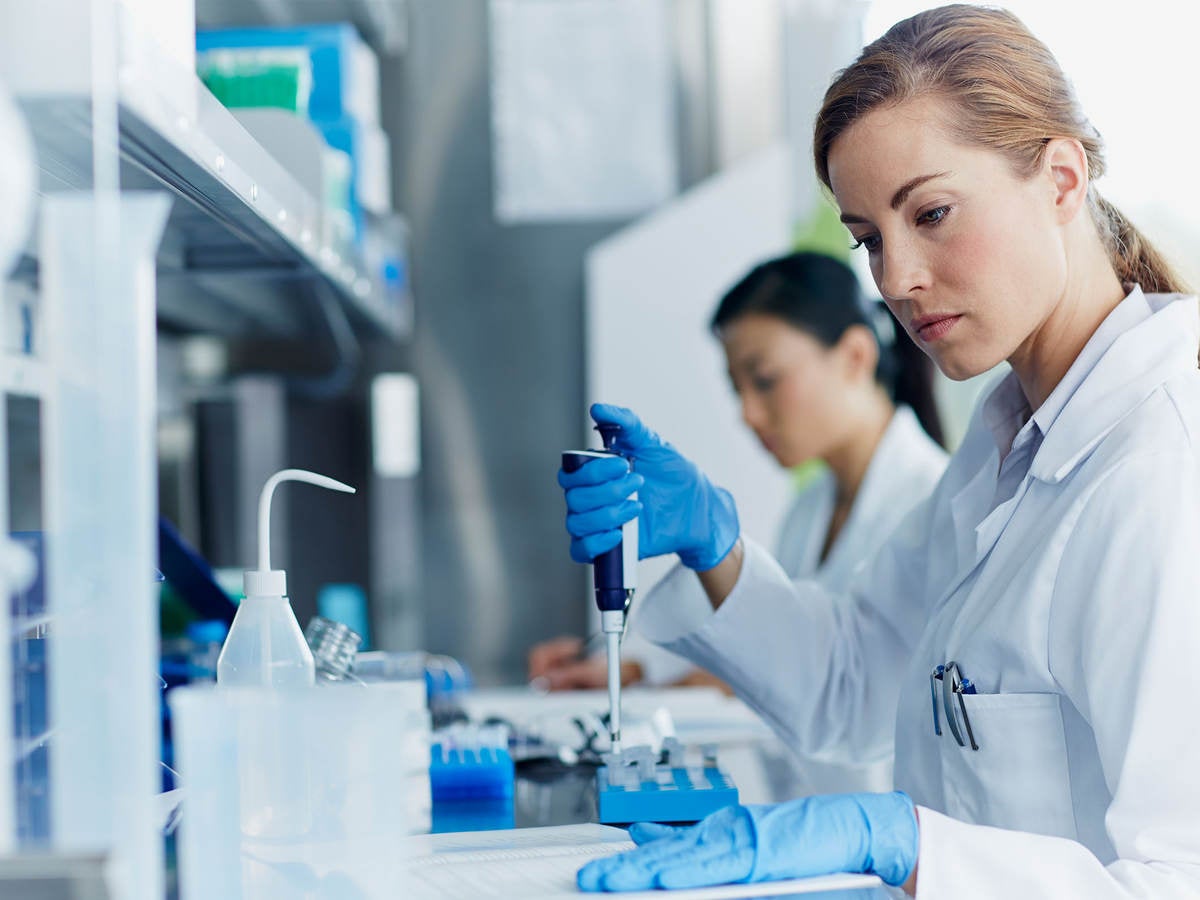 Lab technician working in laboratory