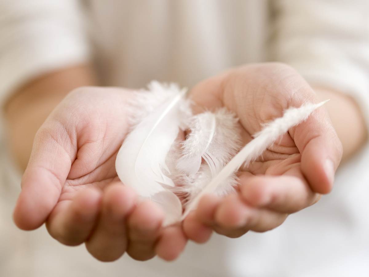 Feather and down in a woman’s hand