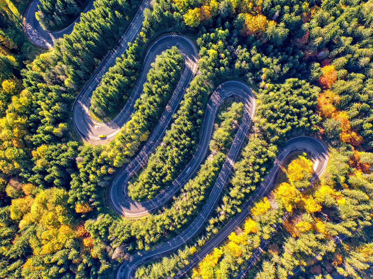 A car drives up a winding road, on either side a forest of evergreen trees