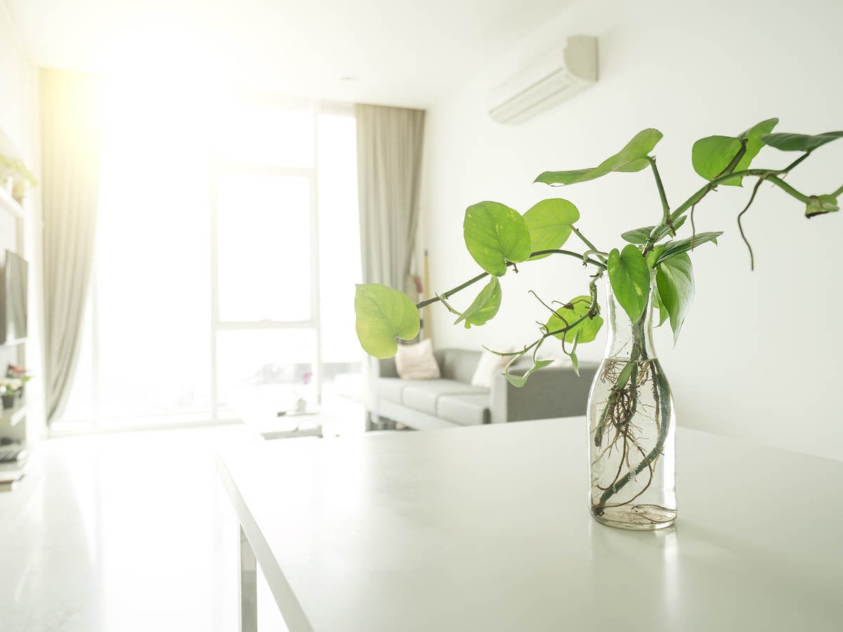 Apartment indoors