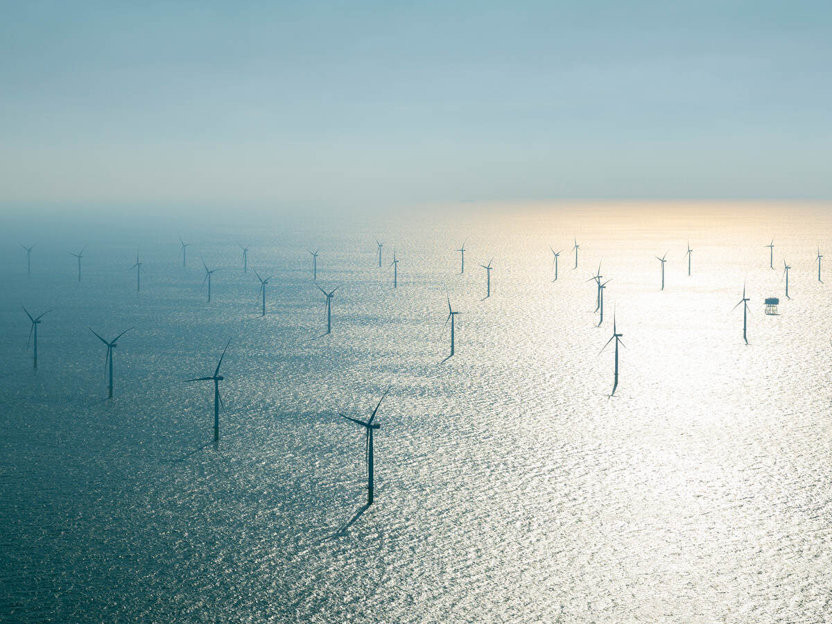 Offshore wind farm