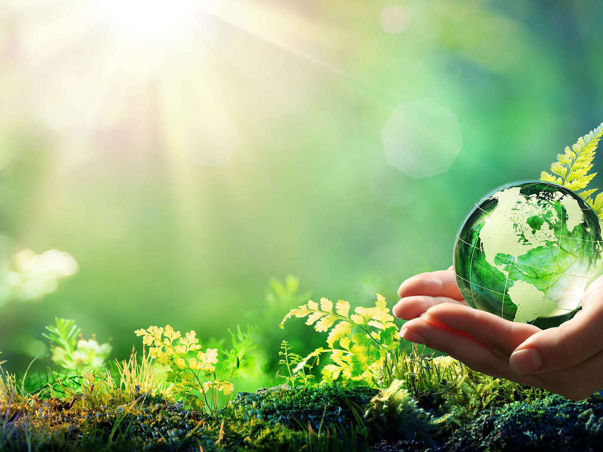 Sunburst above green grass with two human hands holding green glass globe 
