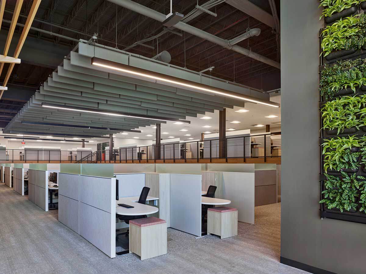 Brixmor cubicle layout with live plant wall