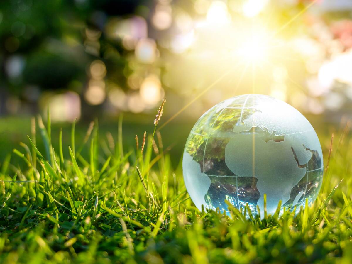 Crystal globe on green grass.