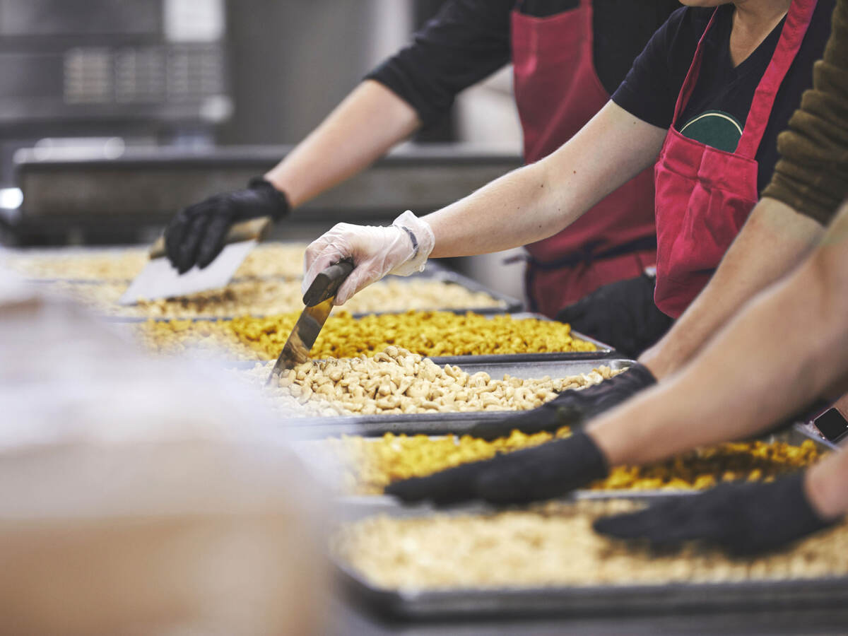 Workers examining cashews