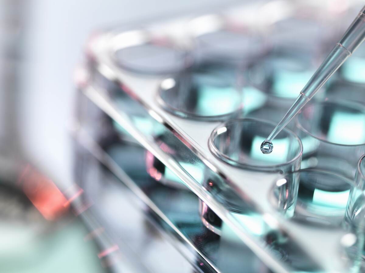 Pipetting sample into multiwell tray.