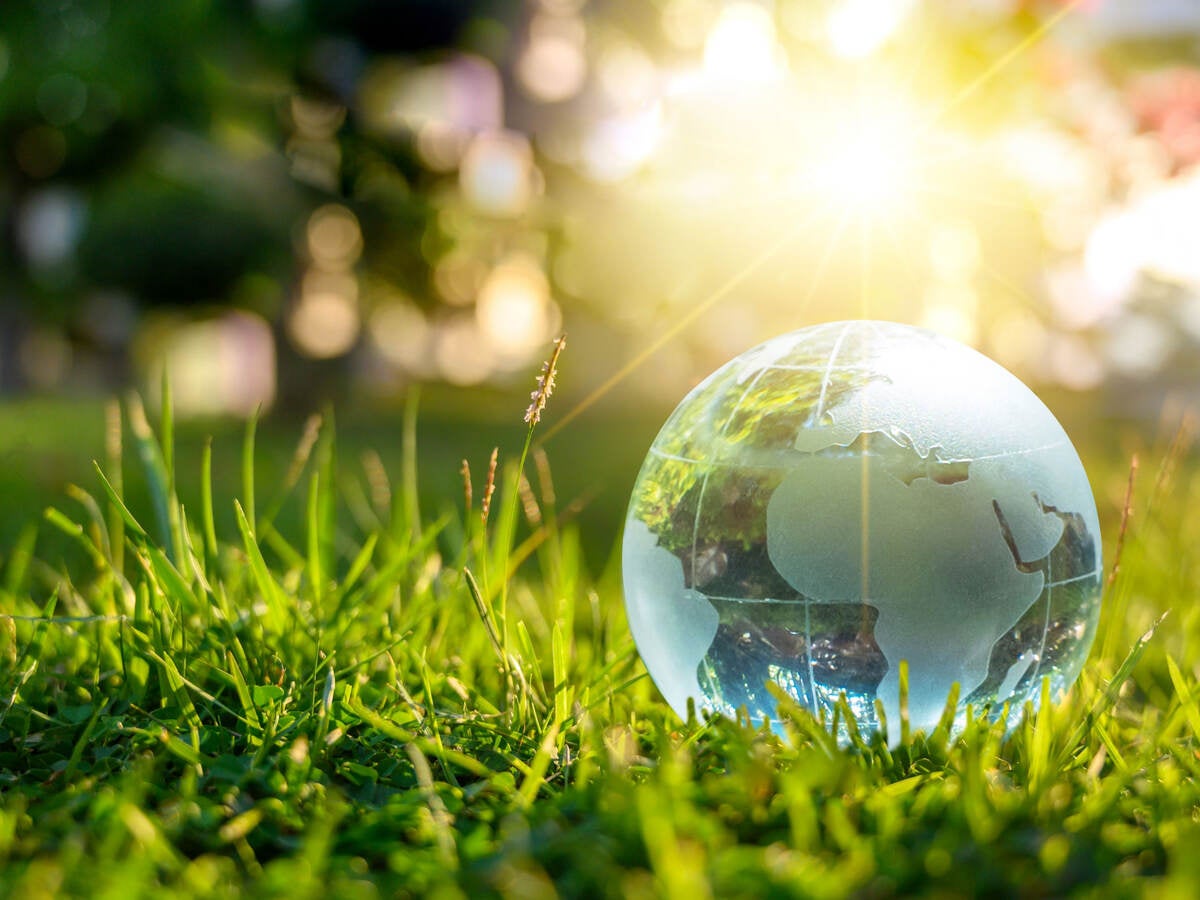A glass globe placed in lush grass