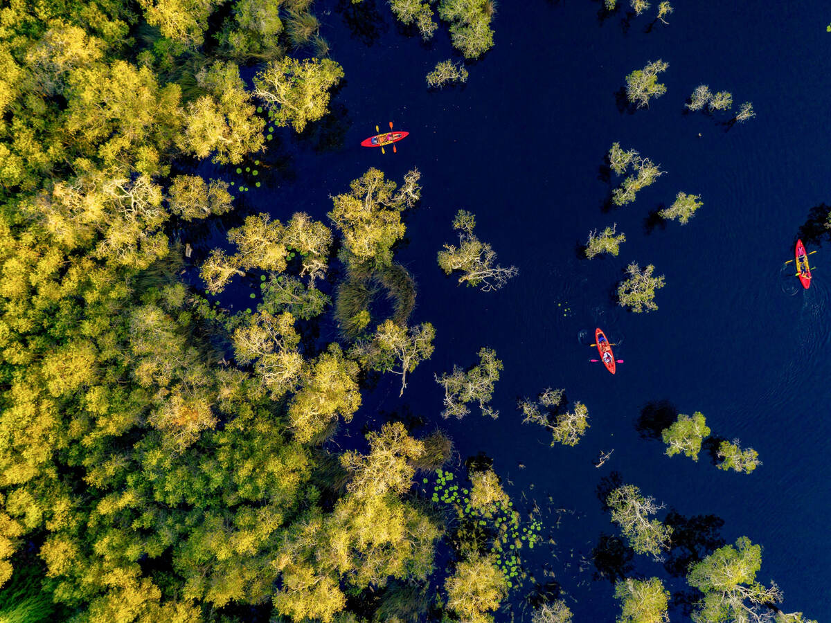 Tourists enjoying kayaking in nature 