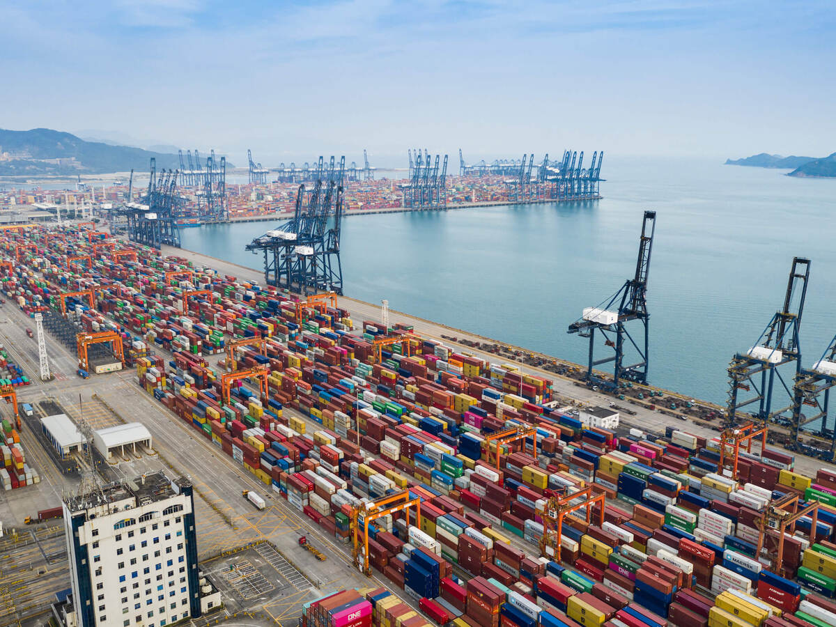 Rows of cargo carriers at a maritime shipping terminal