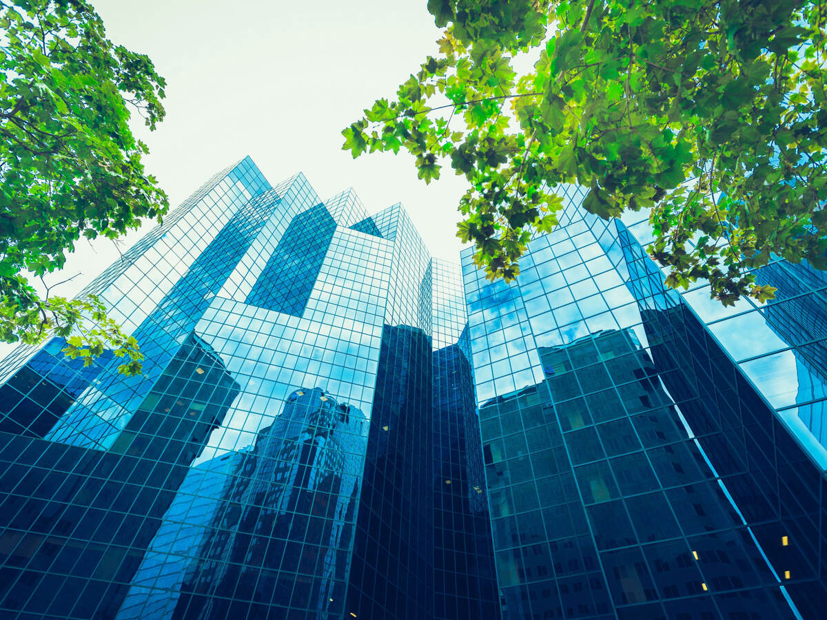 Upward view of trees against glass skyscrapers