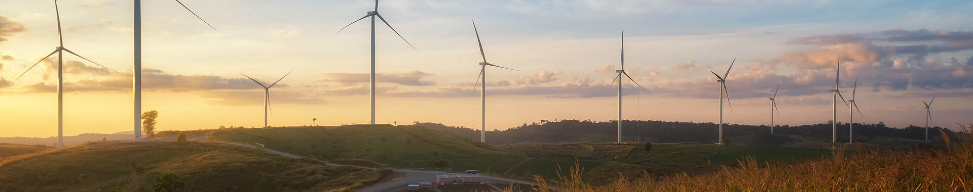 Wind Mill Farm