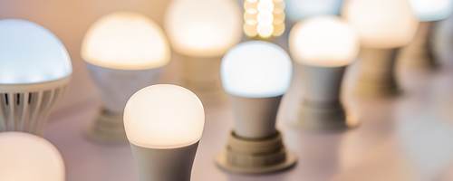 Different colors and shapes of lightbulbs on display