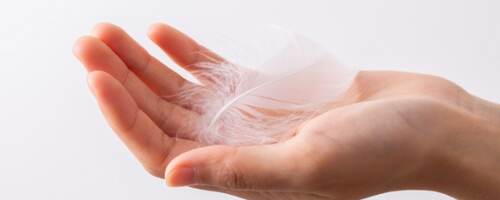 White feather on a woman hand
