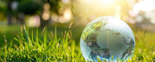 A glass globe placed in lush grass