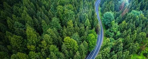Overhead view of forest and roac