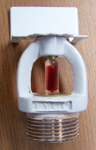 Photographs of the product with counterfeit Marks